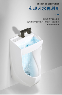 陶磁器の上は洗面器の保存水が付いている壁に取り付けられた尿瓶を発芽させる