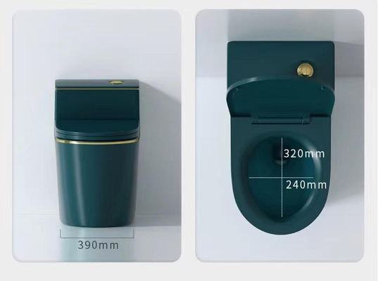 陶磁器の一つのサイフォニックの水洗便所多彩な水セービング タンク