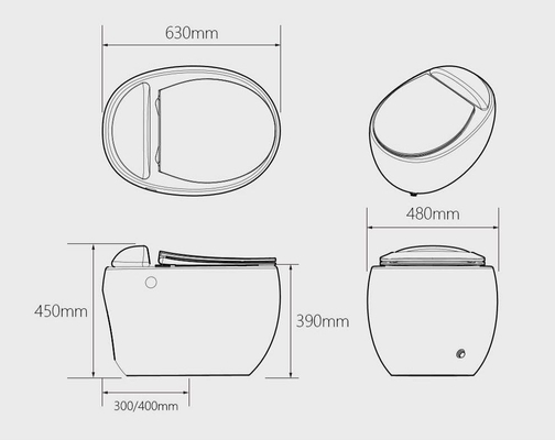3Dフットボールの一見のサイフォニックの一つの洗面所水のない箱の設計