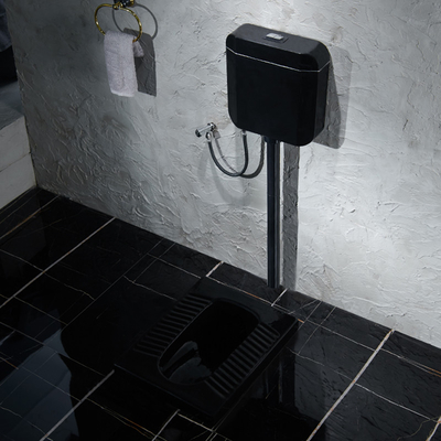 Satinedの黒い表面の陶磁器のずんぐりとした洗面所衛生製品の洗い流します WC
