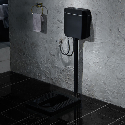 Satinedの黒い表面の陶磁器のずんぐりとした洗面所衛生製品の洗い流します WC