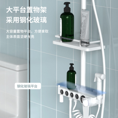 4つの機能の磨かれた白い真鍮の壁に取り付けられたにわか雨